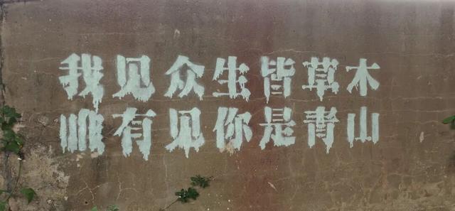 泑游丨球场旋风