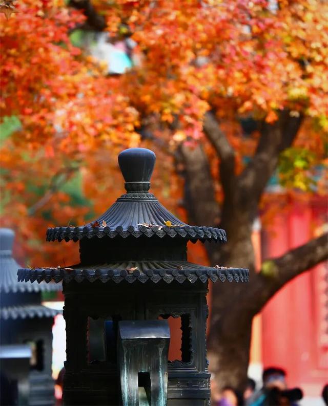 接下来2个月，这16个地方的秋色迎来“封神”之作，挑一个出发！