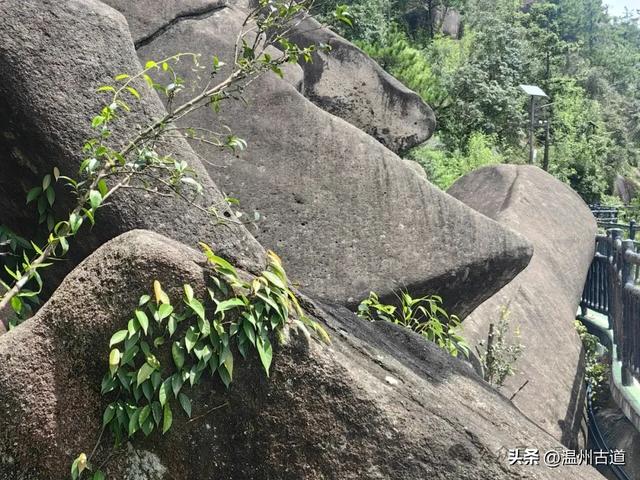 温州这个自然与人文交融的避暑胜地值得走起！