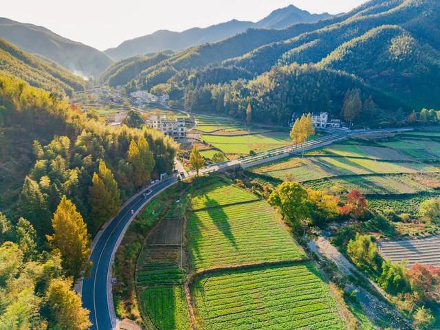 中国最美的20条秋景公路，我已走了11条，游完全部此生就无憾了
