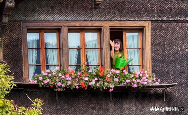 欧游杂记（3）‖ 乘“黄金列车”到因特拉肯：大美瑞士风光之旅