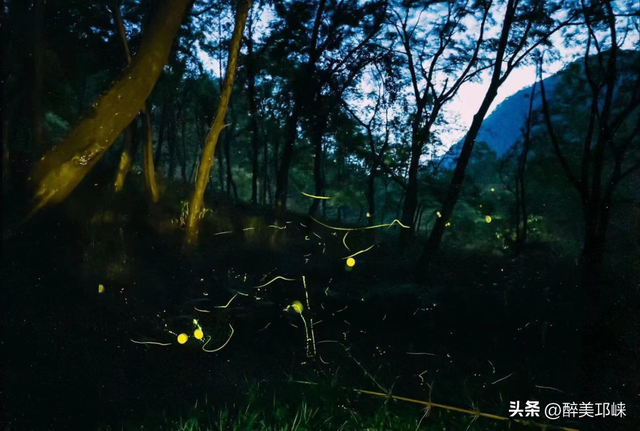 夏末初秋的天台山，看流萤把夏末的尾巴染成碎金