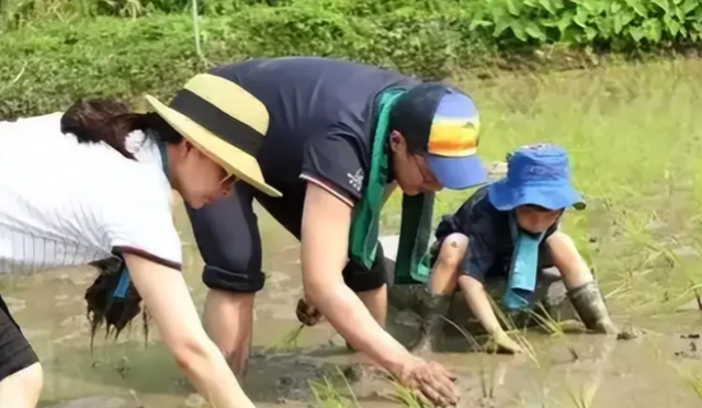 结婚13年，郭晶晶再次迎来喜讯，霍震霆的话再一次得到印证