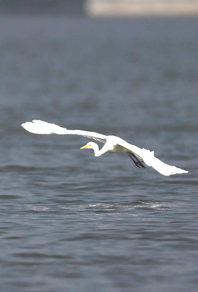 冬天在开封，一定要做这几件事！