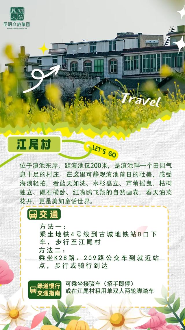 “人在画中游”！昆明这个湿地公园成“全民健身”热门打卡地