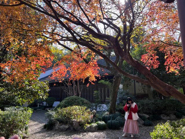 杭州红叶季：桂花之后百花杀，旖旎红叶胜百花。
