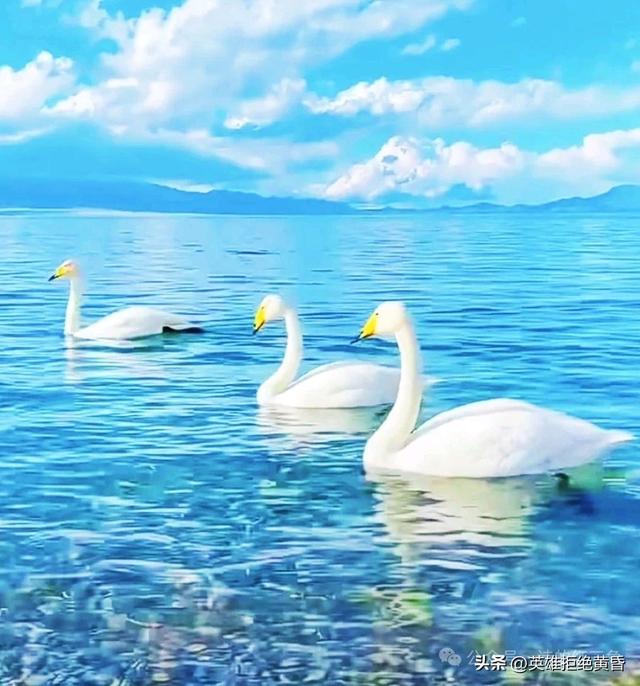 西行万象 醉美新疆