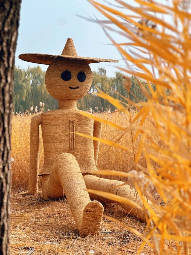 2025园博彩叶季 | 秋意渐入佳境，赏景乐游正当时！