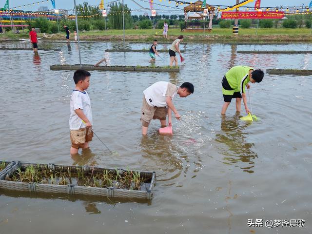 "鱼"悦盛夏 云梦陶楼庄园打造亲子避暑新体验