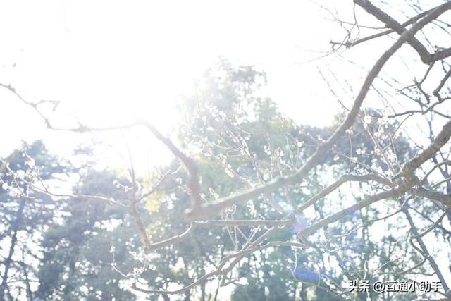 腾龙“20-40mm F/2.8 Di III VXD”镜头评测!