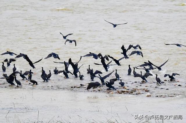 【文旅医养】封神！冬天去卢氏，就按这个节奏玩！