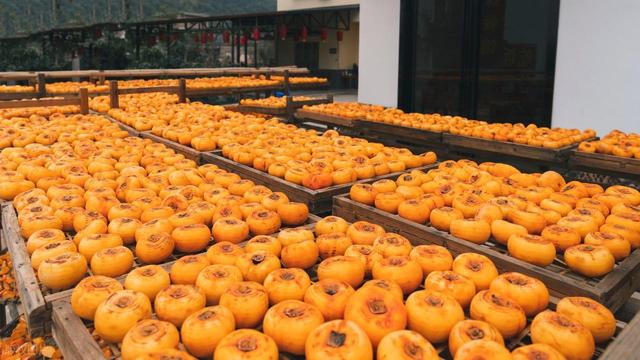 漫山遍野的红柿子，没门票却是陕西原生态小村，周边游玩攻略来了