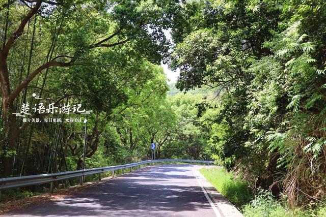 宁波这两座水库相距仅千米，之间藏着多条绿道和茶咖空间，都很美