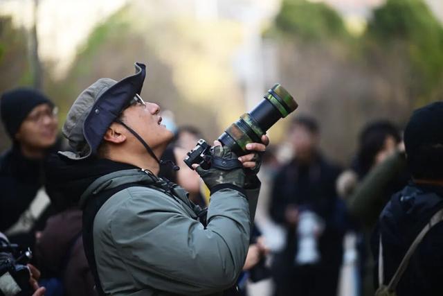 海河岸边、各大公园……天津冬季观鸟地图来了！