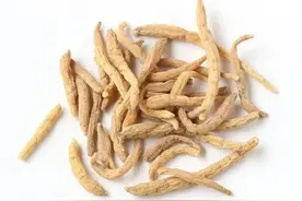 有人说党参比太子参好，但很多时候党参是替代不了太子参的图片