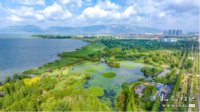 旅居云南·昆明好在（二十）来绿美春城，“氧”你