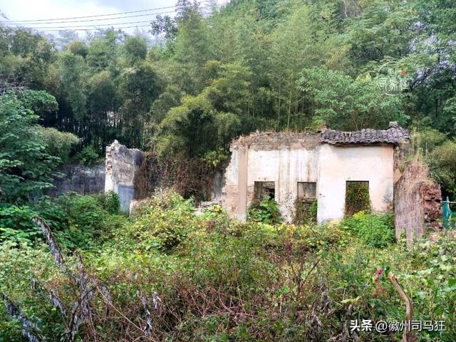 【行走徽州227】芳塘：许是半亩方塘的传承，明经胡有人高中传胪