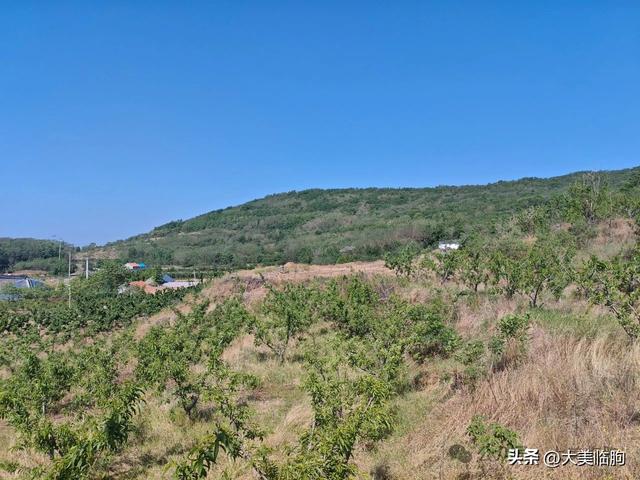 临朐有个灵山，你去过吗？