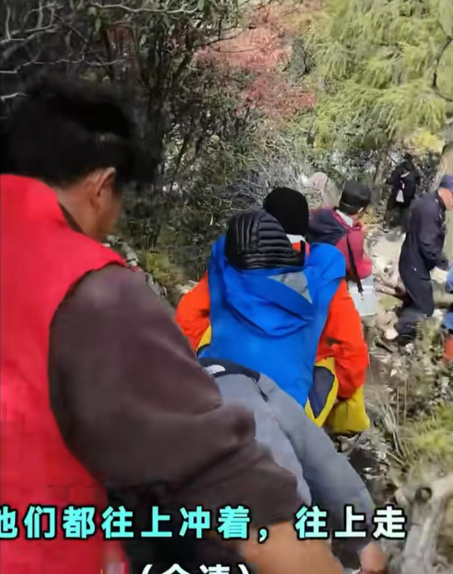 党岭女孩被救后续：数人轮流背下山，恶心一幕出现，人性被低估