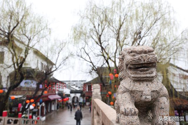 春天还会远吗？上海街头垂柳枝头已长出嫩