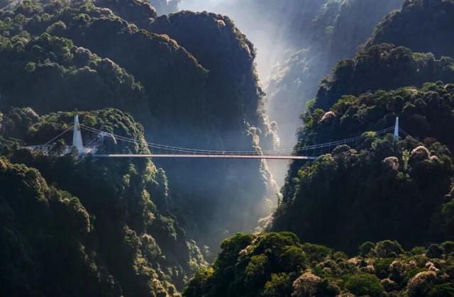 以林为媒 以旅兴业 让雨城绿水青山持续变现