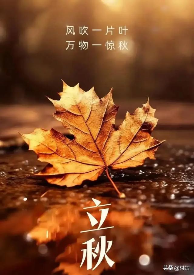 今年立秋不一般，60年一遇“闭眼秋，脱衣秋”，立秋后还热不热？