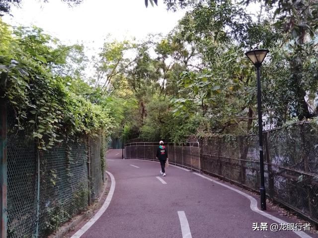 从地铁口出发，游逛刚刚开放的鲲鹏径二号及三号桥