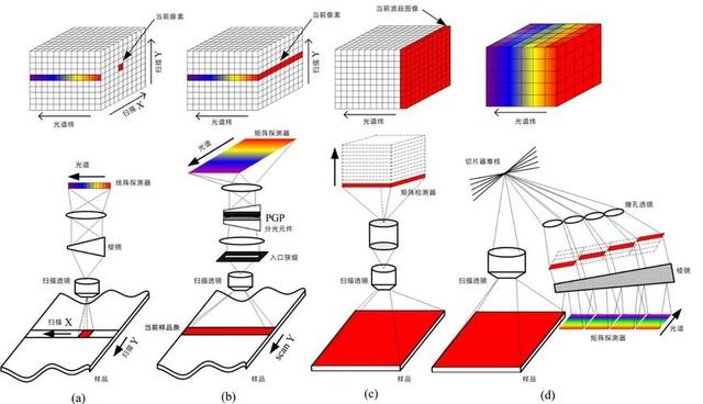 照片背后的世界：AI让普通相机具备“科学眼”、重构高光谱信息