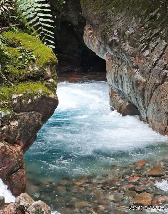 成都大邑爆火彩林，小牛背山、小喀纳斯这里都有，超级惊艳！