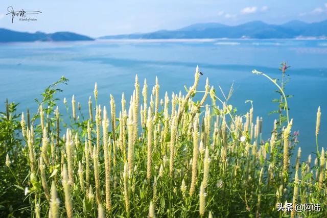 摩旅穿越苍南黄金海岸线,专找没有观景平台的角落观景,三沙真美
