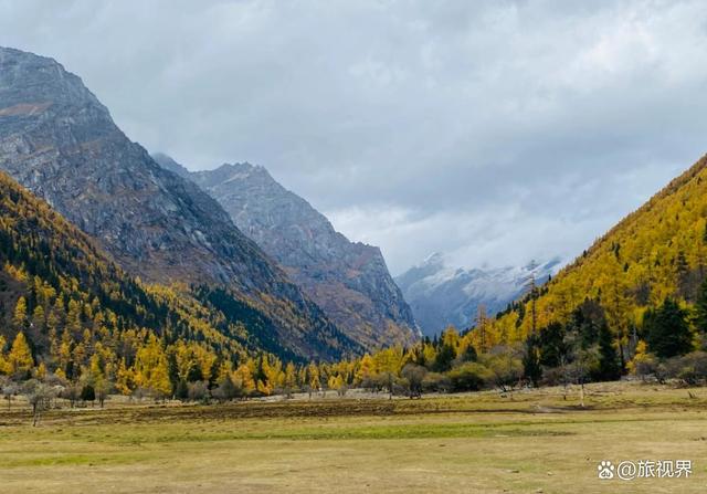 四姑娘山长坪沟徒步全攻略，47000步走到木骡子，附避坑指南