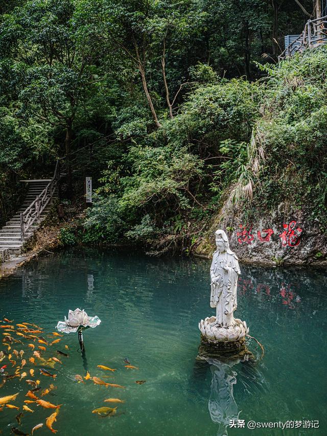 逃离酷暑，我在温州清凉一夏