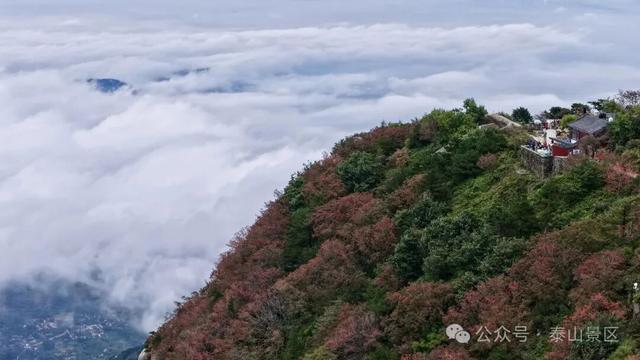 泰山云海：水墨长卷里的山河诗行