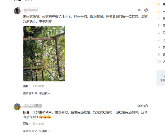 男子手欠摘沈阳二环葫芦：真心道歉，婚礼已取消，扣9分罚200元 。后续来了，葫芦二弟出现，已成为精神寄托！
