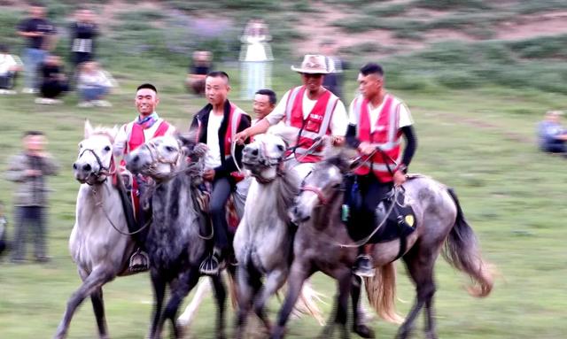 礼县文旅热力全开｜这个夏天，遍地是“爆款”