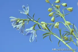 十二条健康金句，健康常相伴图片