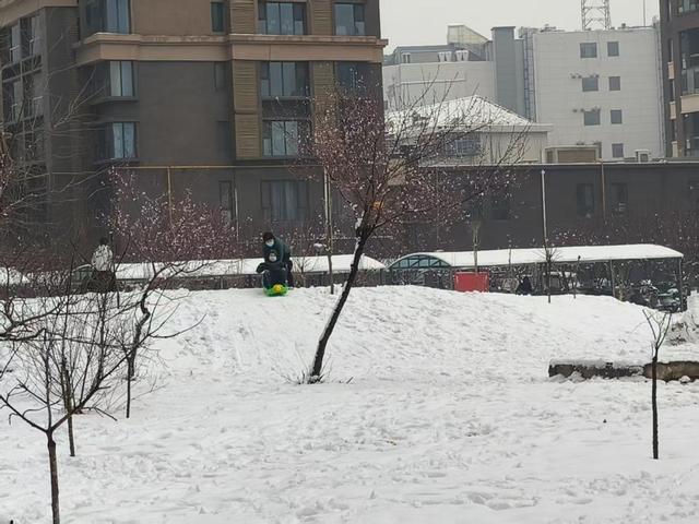 石家庄，三月大雪纷飞