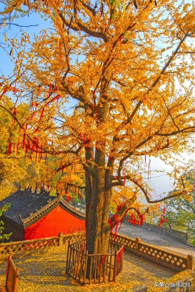 两日超全游玩攻略！秋日沿河而行，淄博这条线路藏着太多宝藏打卡点~