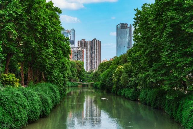 南京人去了成都和重庆，直言不讳：成都和重庆生活方式截然不同！