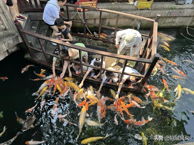 苏州城韵·张澄桥与寒山寺