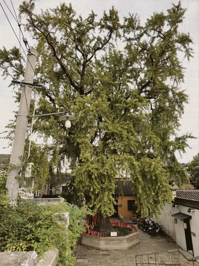 苏州城外淡若水墨的老街，如今有些寂寞冷清