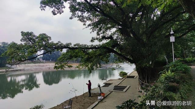 只有本地人喝茶垂钓的成都古镇，没有商业化，古建筑仅有一座塔