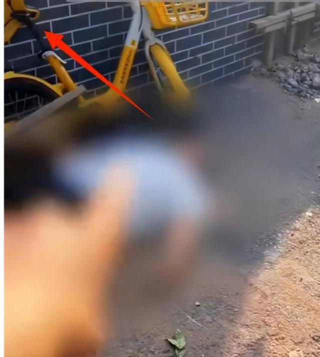沈阳司机故意撞人后续，连续撞击下死手还拍视频炫耀，身份已被扒
