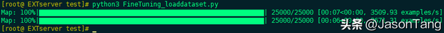 一文讲清怎么利用Python微调预训练AI人工智能模型