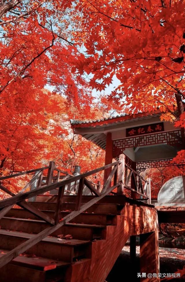 本溪：北国红枫深处的诗意秘境