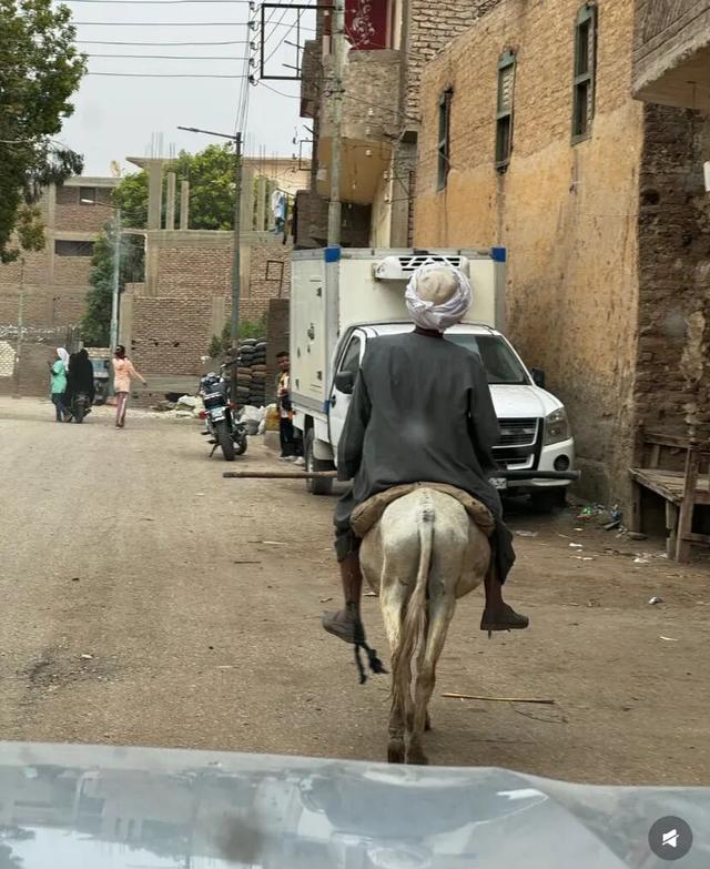 地理冷知识—埃及旅游如何不被骗