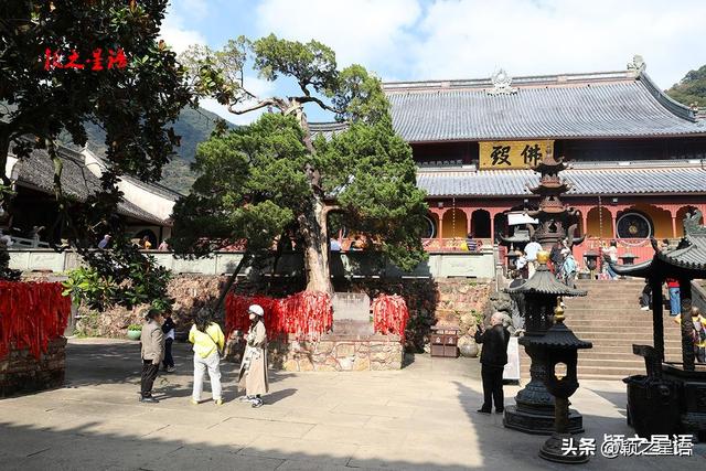 天童寺的高光时刻，禅意弥漫，东谷秋红