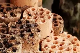 腐殖土、营养土都不如这种“土”，营养丰富不烂根，养啥啥爆盆！图片