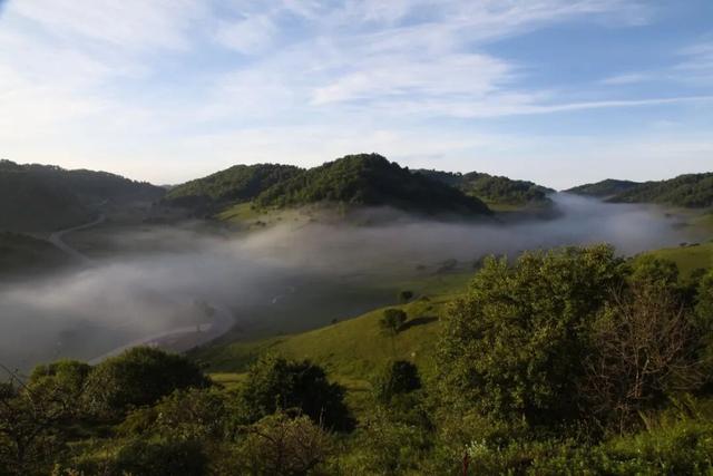 雨洗关山，草原焕新｜快来关山草原“吸氧”吧！