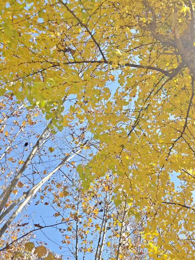 昆明的冬天真的美